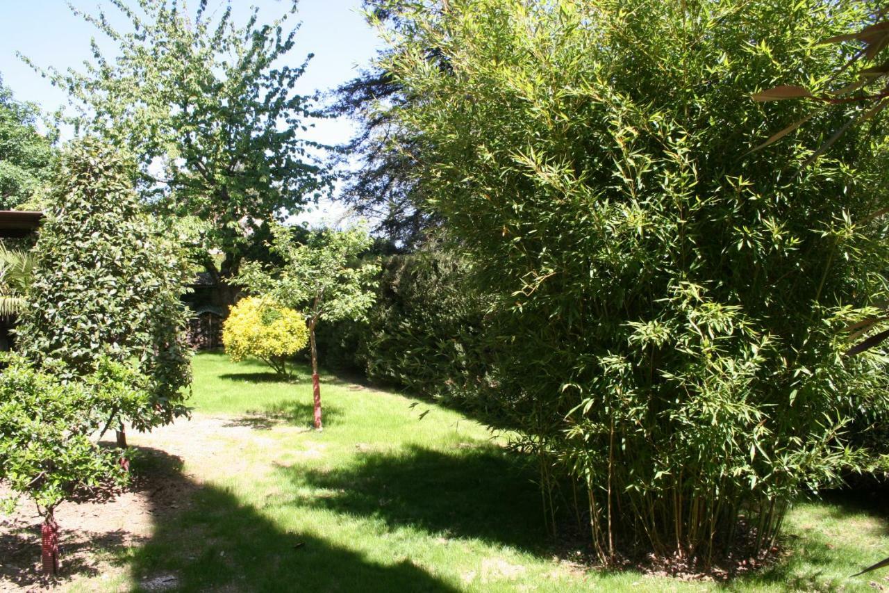 La Casa Di Rachele Lejlighed Sarteano Eksteriør billede